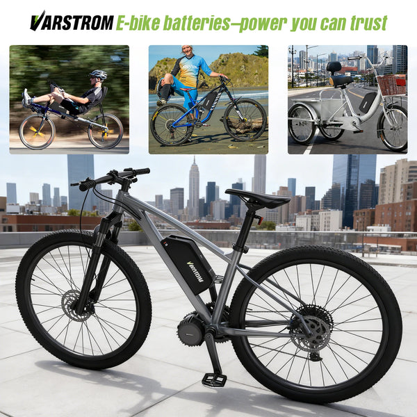 PowerPlus Electric Bike Battery